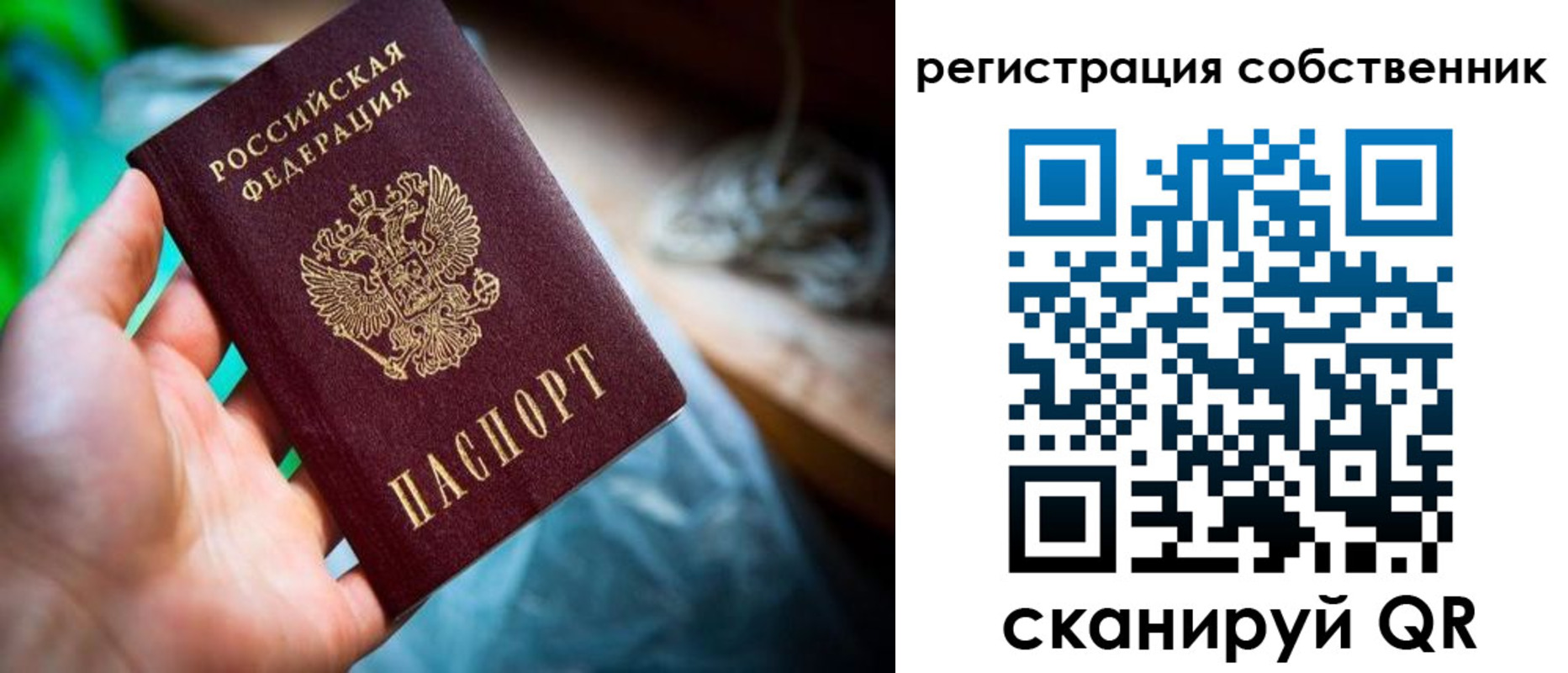 прописка гарантия в Мончегорске